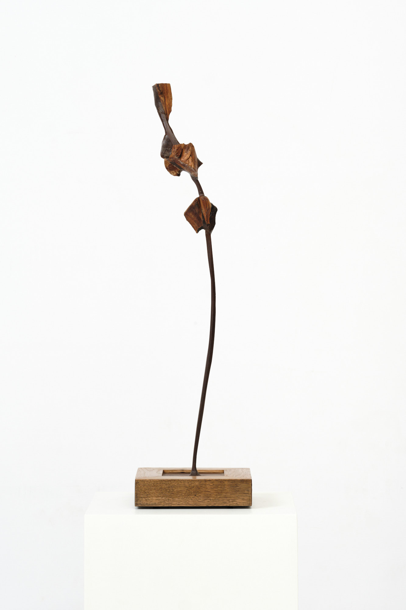 Michael Roderick Wedderburn Sculpture